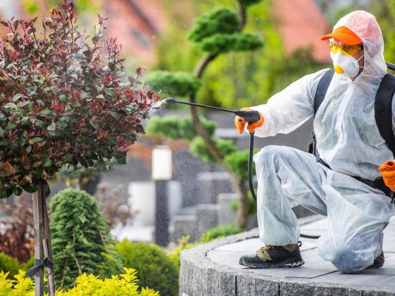 Şile Haşere İlaçlama