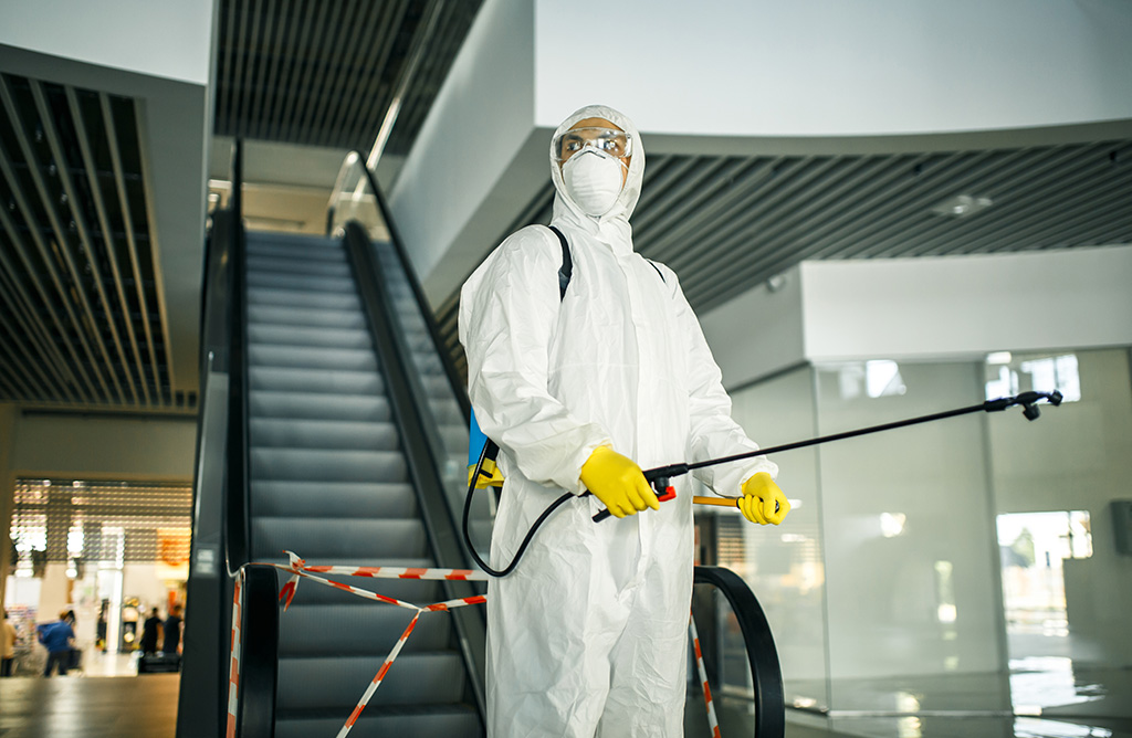 Şile Haşere İlaçlama